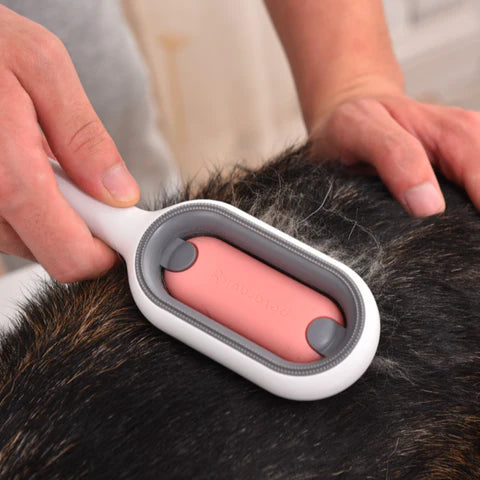 PawsandPet - Haarentfernungskamm für Haustiere